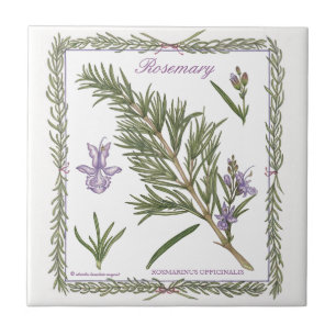 In der Garten ~ Rosemary-Fliese Fliese