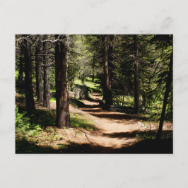 In der Kiefern-Postkarte - wandernd nahe Postkarte