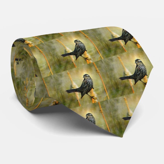 In der Krawatte der Limelight-Männer (Gerollt)