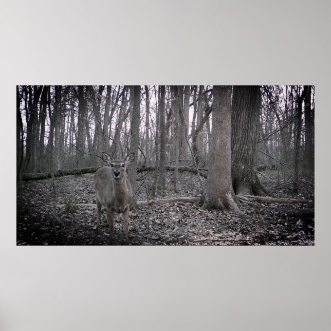 In der Landwirtschaft Poster (Vorne)