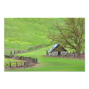 In der Puppe. Fotodruck