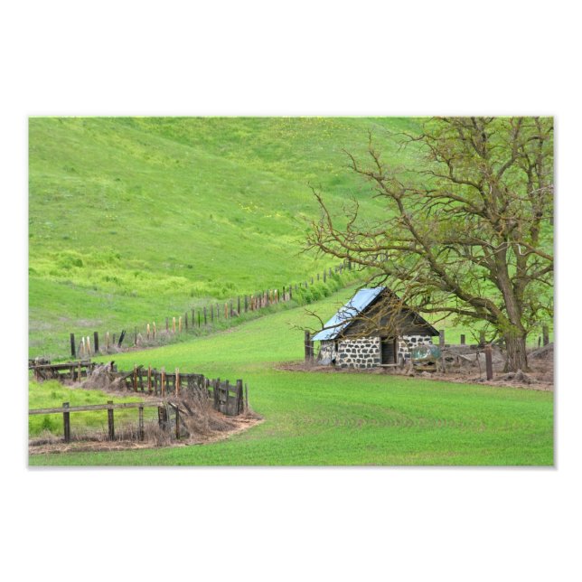 In der Puppe. Fotodruck (Vorne)