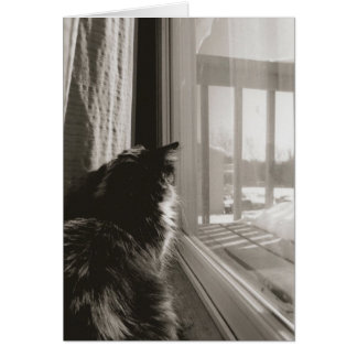 In der Sonne gewartet