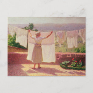 In der Sonne waschen Postkarte