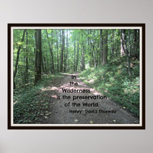 In der Wildnis: Zitat von Henry David Thoreau Poster (Vorne)