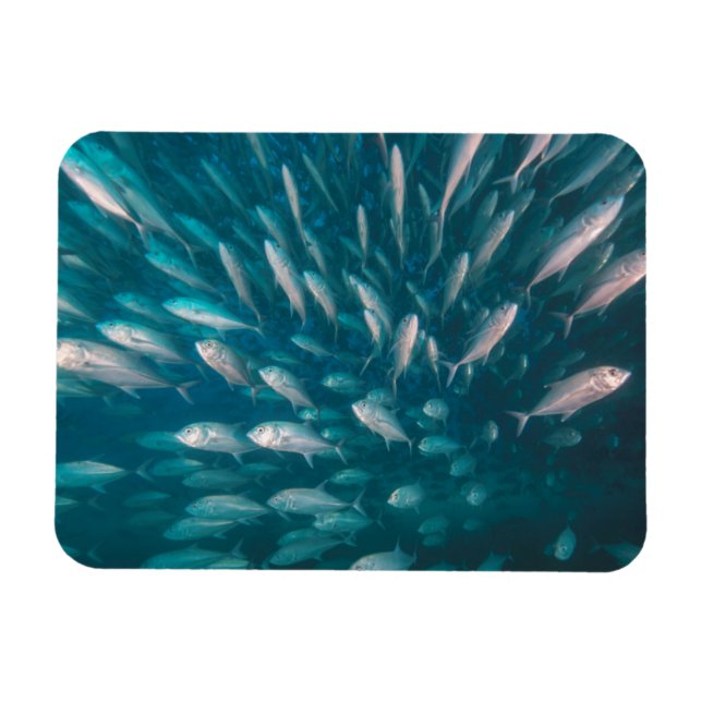 In die Jacke Magnet (Horizontal)