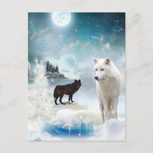 In die Mystische Wildnis Postkarte (Vorderseite)