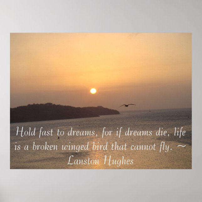 In die Sonne fliegen Poster (Vorne)