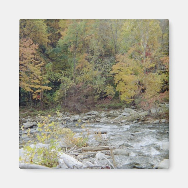 In die Wälder Magnet (Vorne)