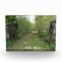 In die Wege des Wunders und des Spiegels