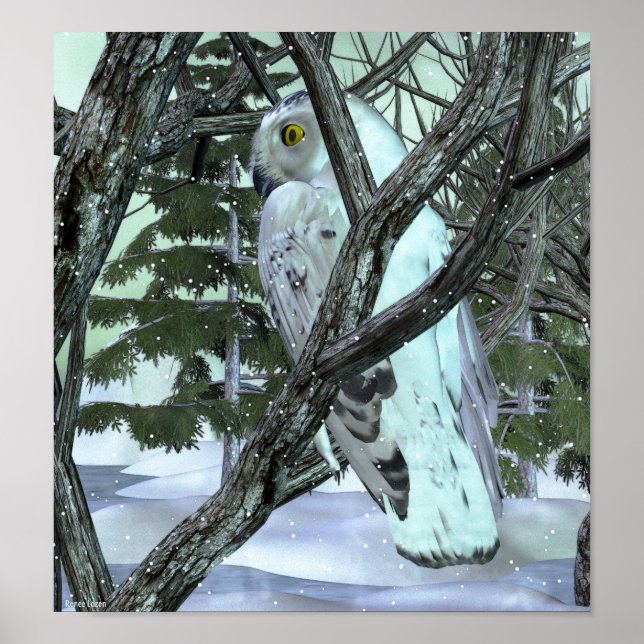 In die wilde Schneekugel Poster (Vorne)