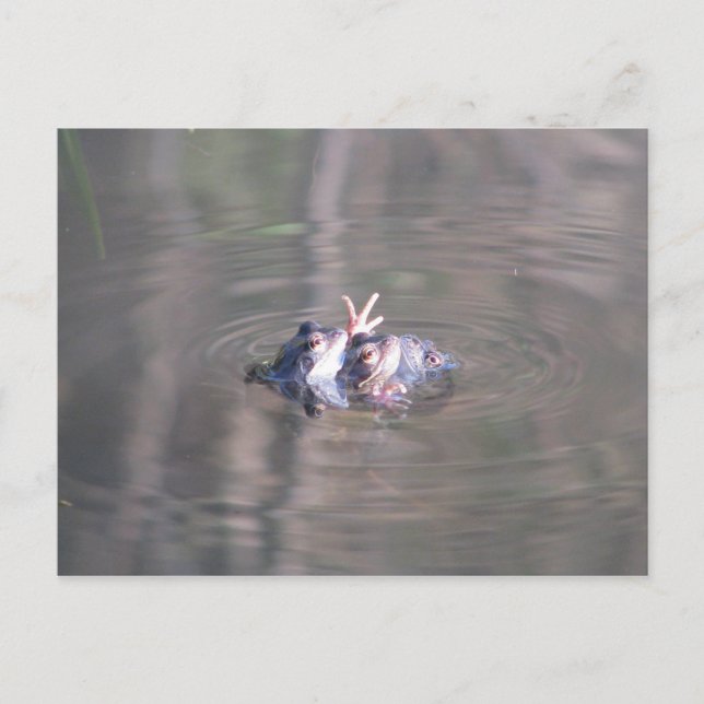 In dieser Beziehung sind wir drei Postkarte (Vorderseite)