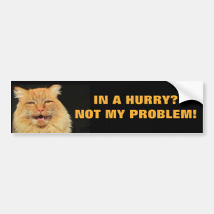 In Eile? Nicht meine Problem-Katze Meme Autoaufkleber