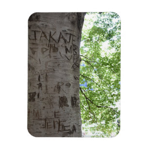 In einem Baum Central Park Naturfotografie Magnet