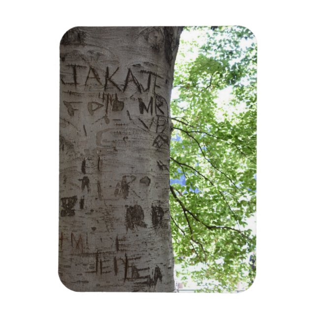 In einem Baum Central Park Naturfotografie Magnet (Vertikal)