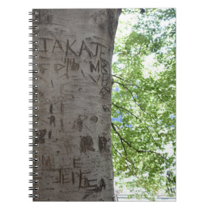 In einem Baum Central Park Naturfotografie Notizblock