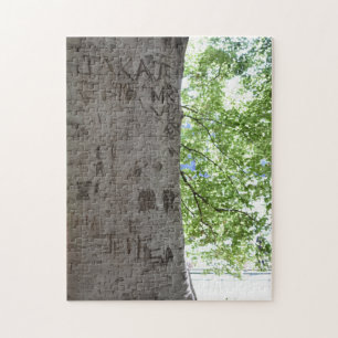 In einem Baum Central Park Naturfotografie Puzzle