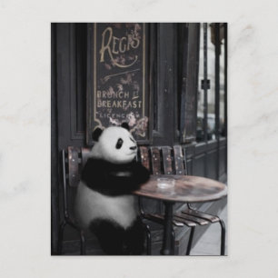 In einem Café übernachten Postkarte