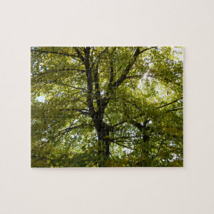 In einem gelben Ahornbaum Herbst Puzzle