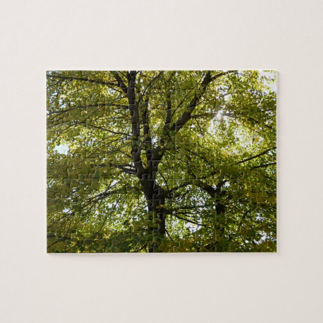 In einem gelben Ahornbaum Herbst Puzzle (Horizontal)