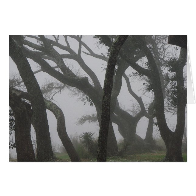 In einem Nebel (Vorderseite (Horizontal))