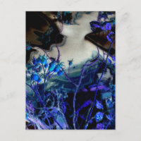 "In einem Traum" Abstrakte, digital veränderte Ros