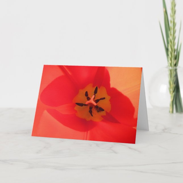 In einem Tulip Karte (Vorderseite)