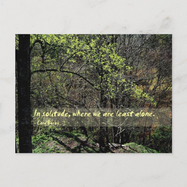 In Einsamkeit... Postkarte (Vorderseite)