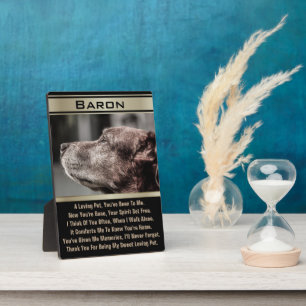 In Erinnerung an ein verlorenes Haustier Fotoplatte