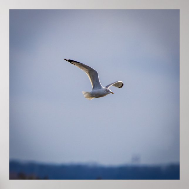 In Flight Poster (Vorne)