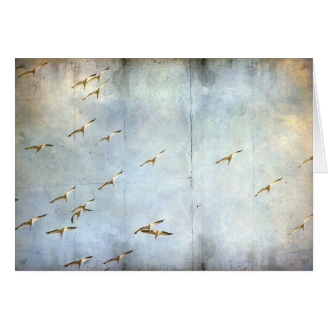 In Flug (Vorderseite (Horizontal))