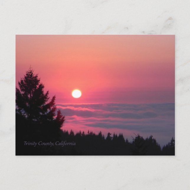 In Frieden wieder....Postkarte Postkarte (Vorderseite)