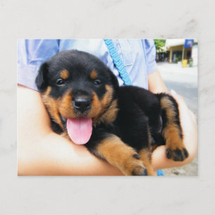 In guten Händen Postkarte