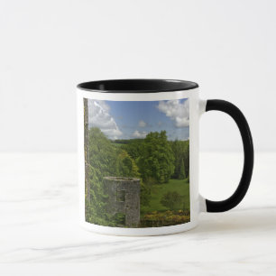 In Irland, auf dem Schloss Blarney, ein Steinturm  Tasse