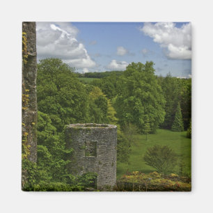 In Irland, im Schloss Blarney ein steinerner Turm  Magnet