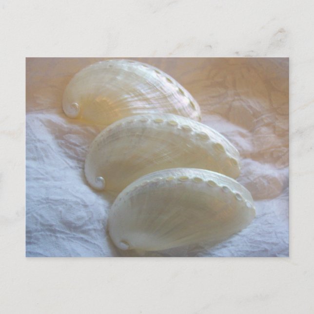 in jedem zarten wirbeln postkarte (Vorderseite)