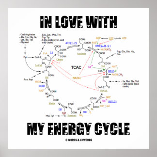In Liebe mit meinem Energiezyklus (Krebs-Zyklus) Poster