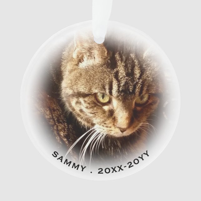 In Love Memory 2 Foto Name Cat Dog Pet Memorial Ornament (Vorderseite)