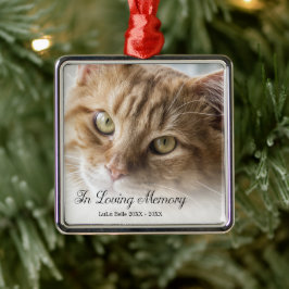 In Love Memory Cat Foto Ornament Aus Metall