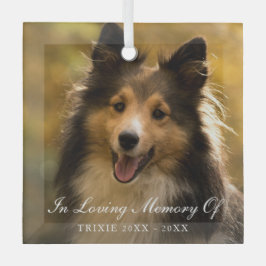 In Love Memory Elegantes Foto Pet Memorial Ornament Aus Glas