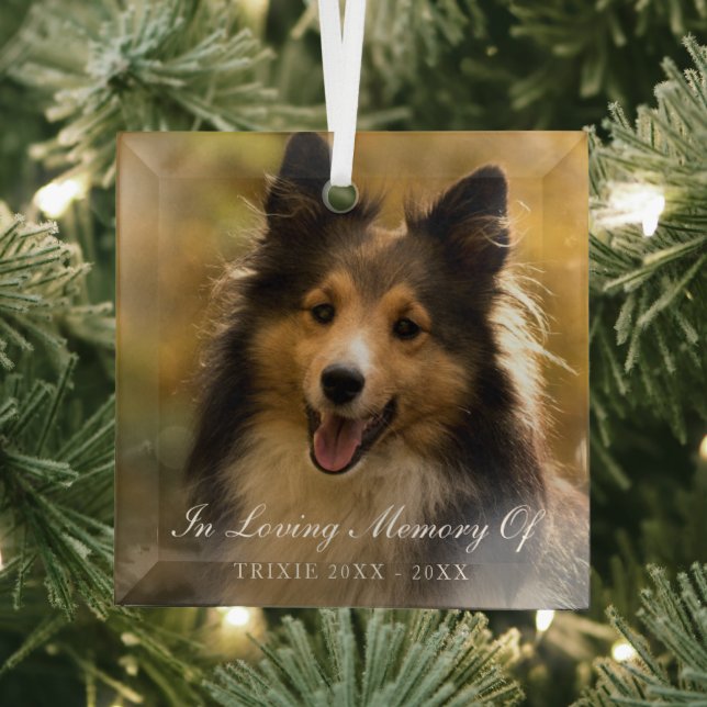 In Love Memory Elegantes Foto Pet Memorial Ornament Aus Glas (Insitu)