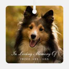 In Love Memory Elegantes Foto Pet Memorial Ornament Aus Metall