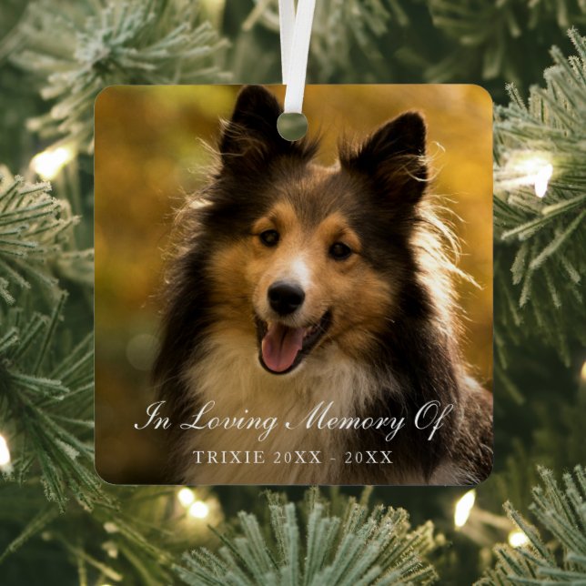 In Love Memory Elegantes Foto Pet Memorial Ornament Aus Metall (InSitu)