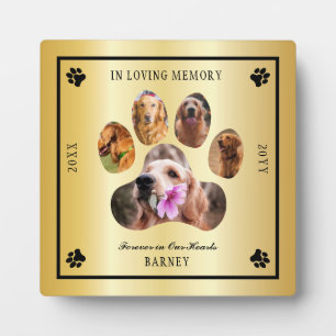 In Love Memory Foto Pet Memorial - Gold Tone Fotoplatte