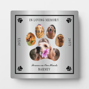 In Love Memory Foto Pet Memorial - Silver Tone Fotoplatte