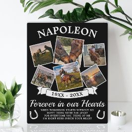 In Love Memory Horse Fotoplatte