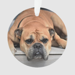 In Love Memory Pet Weihnachts-Gedenkschmuck Ornament