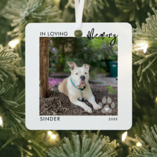 In Loving Memory 2 Fotos PET-Gedenk Pfotenabdruck Ornament Aus Metall