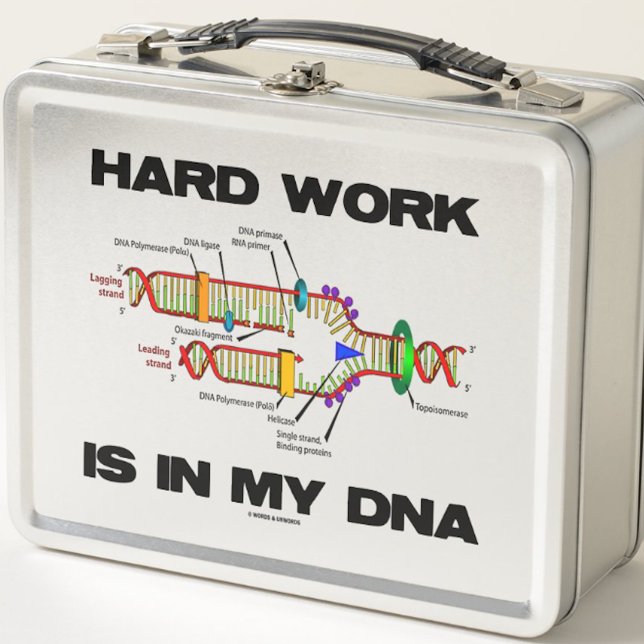 In meinem DNA-Molekularbiologie-Spaß ist harte Arb Metall Brotdose (DNA replication lunchbox for any hard worker who has hard work in his or her DNA)