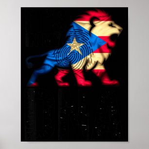 In meiner dna puerto rico rican flagge stolz in br poster